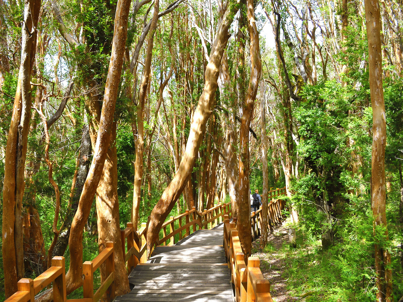 San Carlos de Bariloche