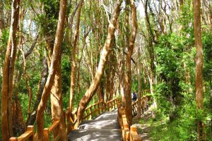 Paquete - Paquetes a San Carlos de Bariloche