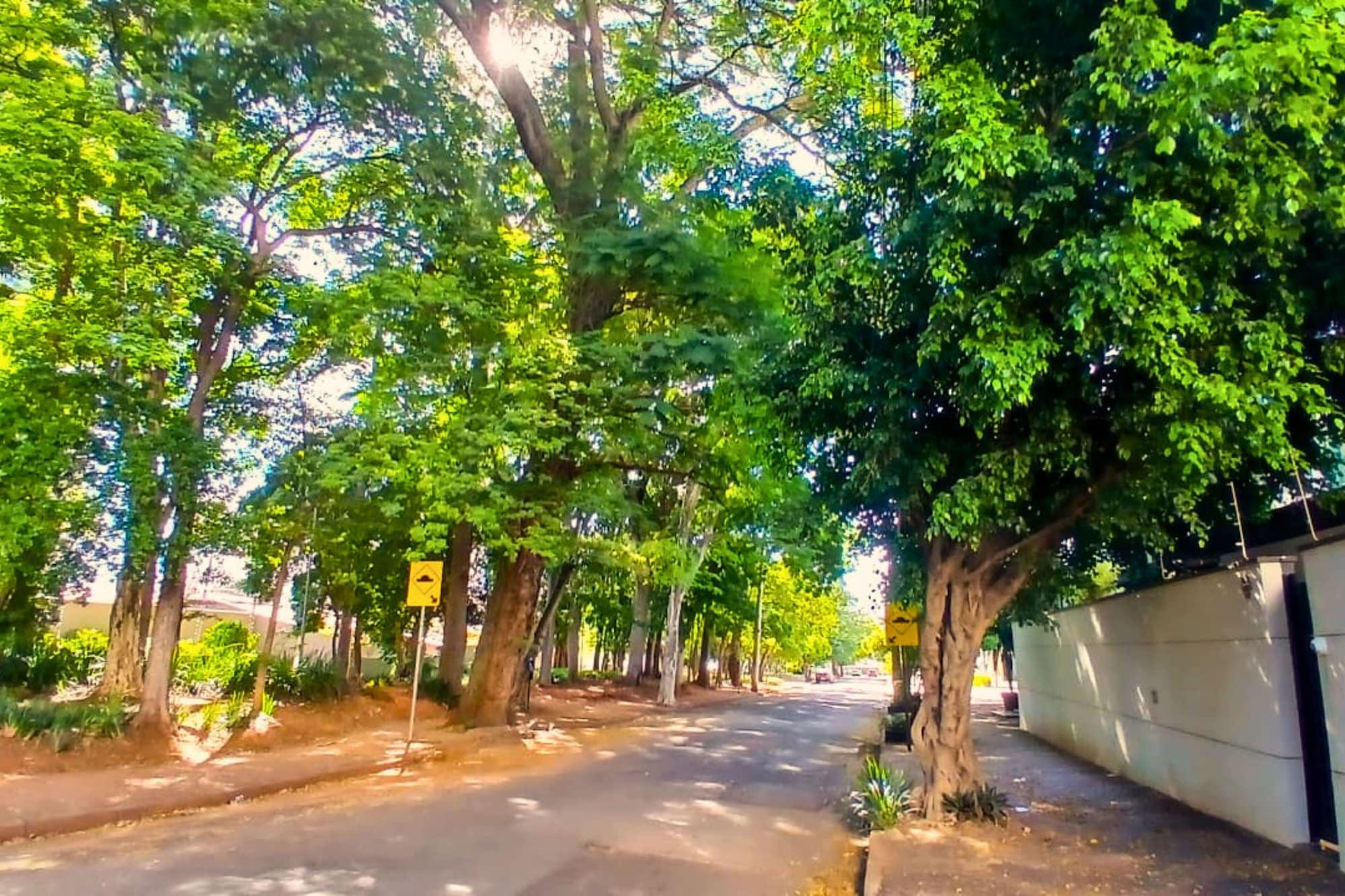 Vista Lobby Pousada Guanabara Inn Campinas-SP