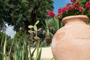 Alojamiento - Villa Cheta Hotel & Restaurant