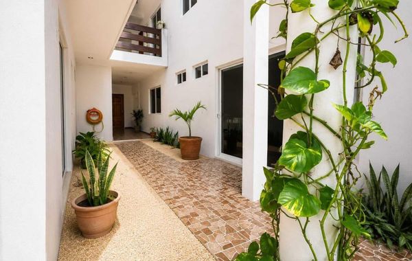 Hotel Isla Mujeres Centro - Hoteles pet friendly en Isla Mujeres, México