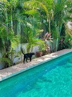 Alojamiento - Hotel Jaiba Mahahual