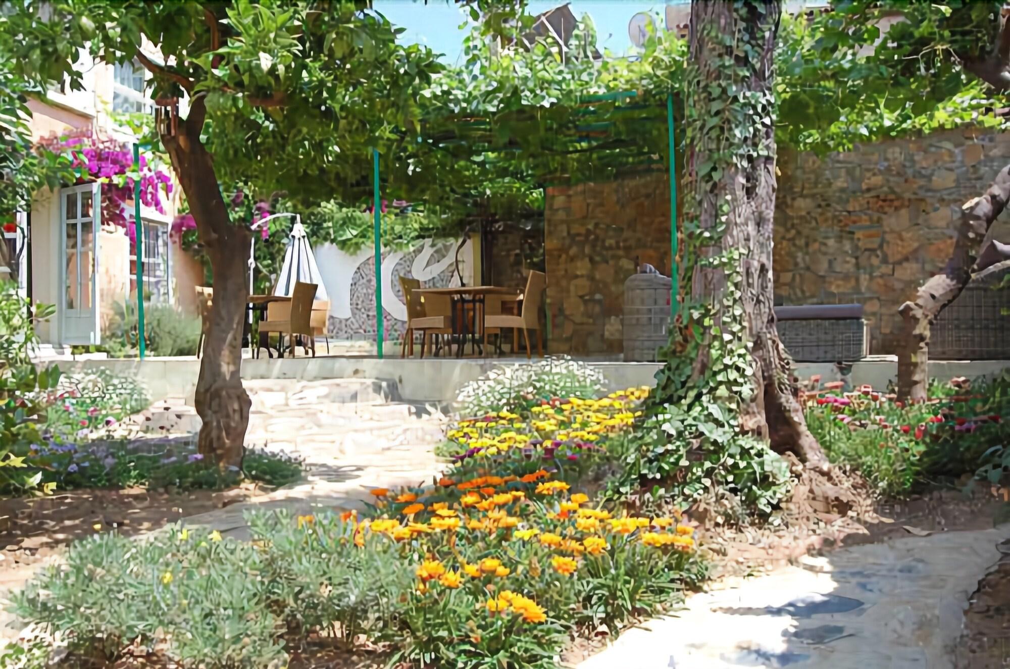 Vista Exterior Villa Tulipan