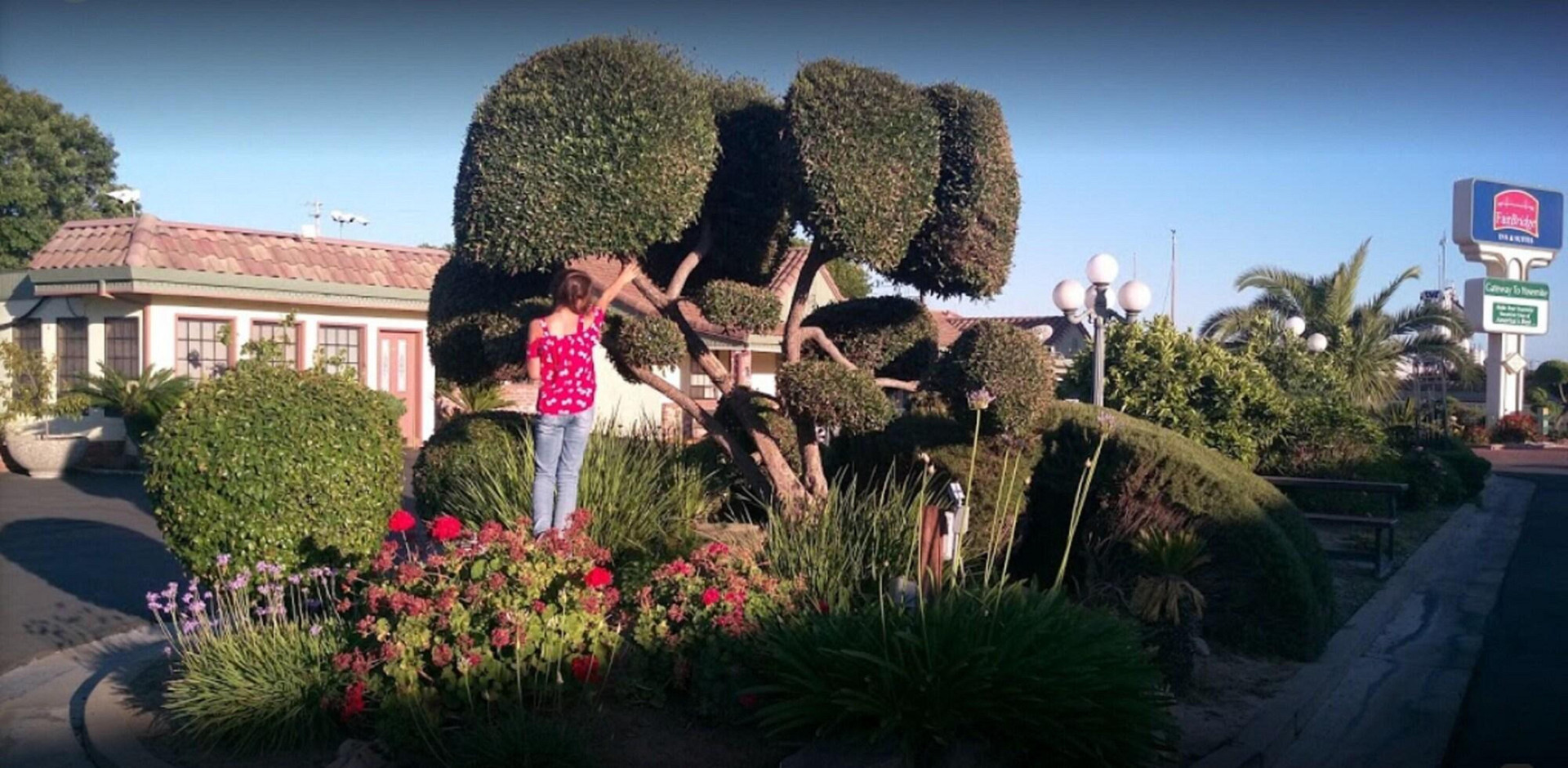 Vista Exterior FairBridge Inn & Suites Merced/Gateway to Yosemite