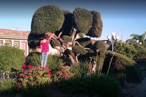 Alojamiento - FairBridge Inn & Suites Merced/Gateway to Yosemite