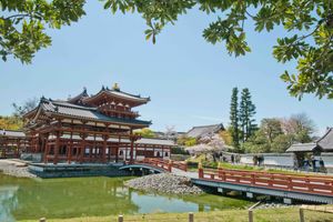 Actividad - Recorrido por Kioto, Nara y Uji: los mejores santuarios y templos
