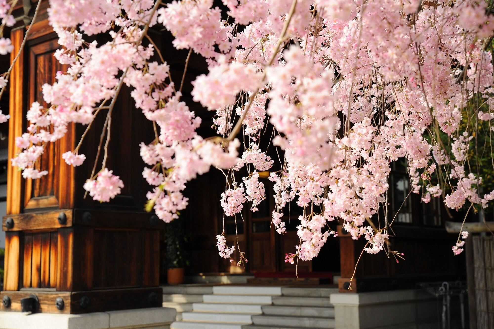 Vista Exterior Nara Hotel