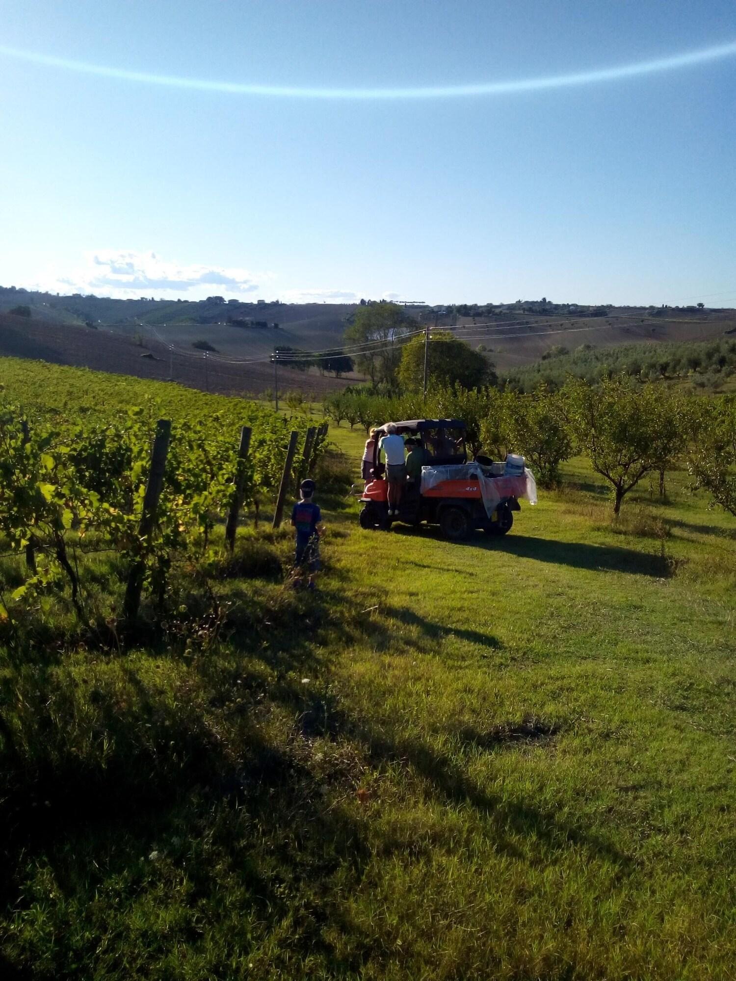 Vista Exterior I Tre Filari