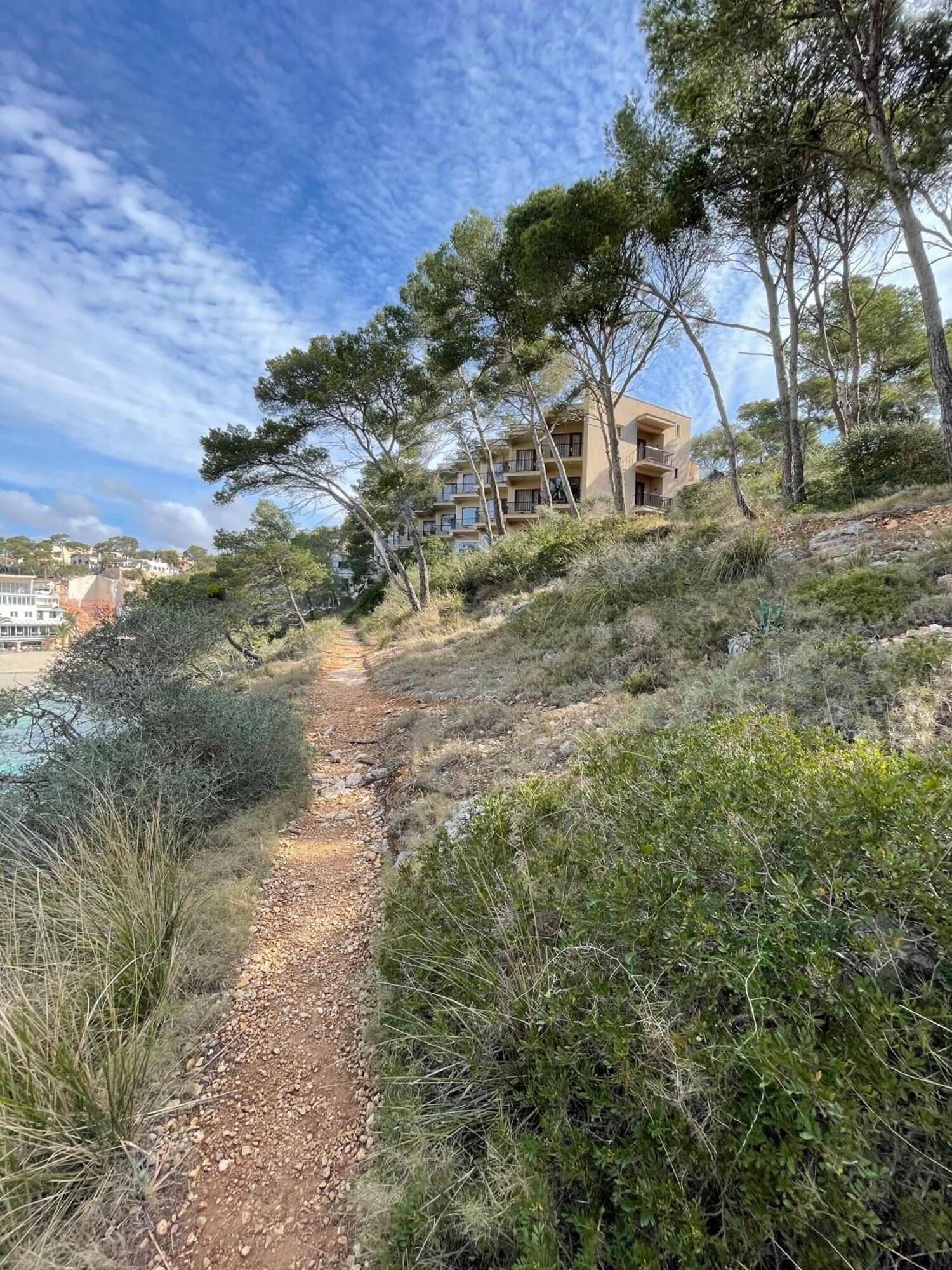 Comodidades del Alojamiento Hostal Palmaria