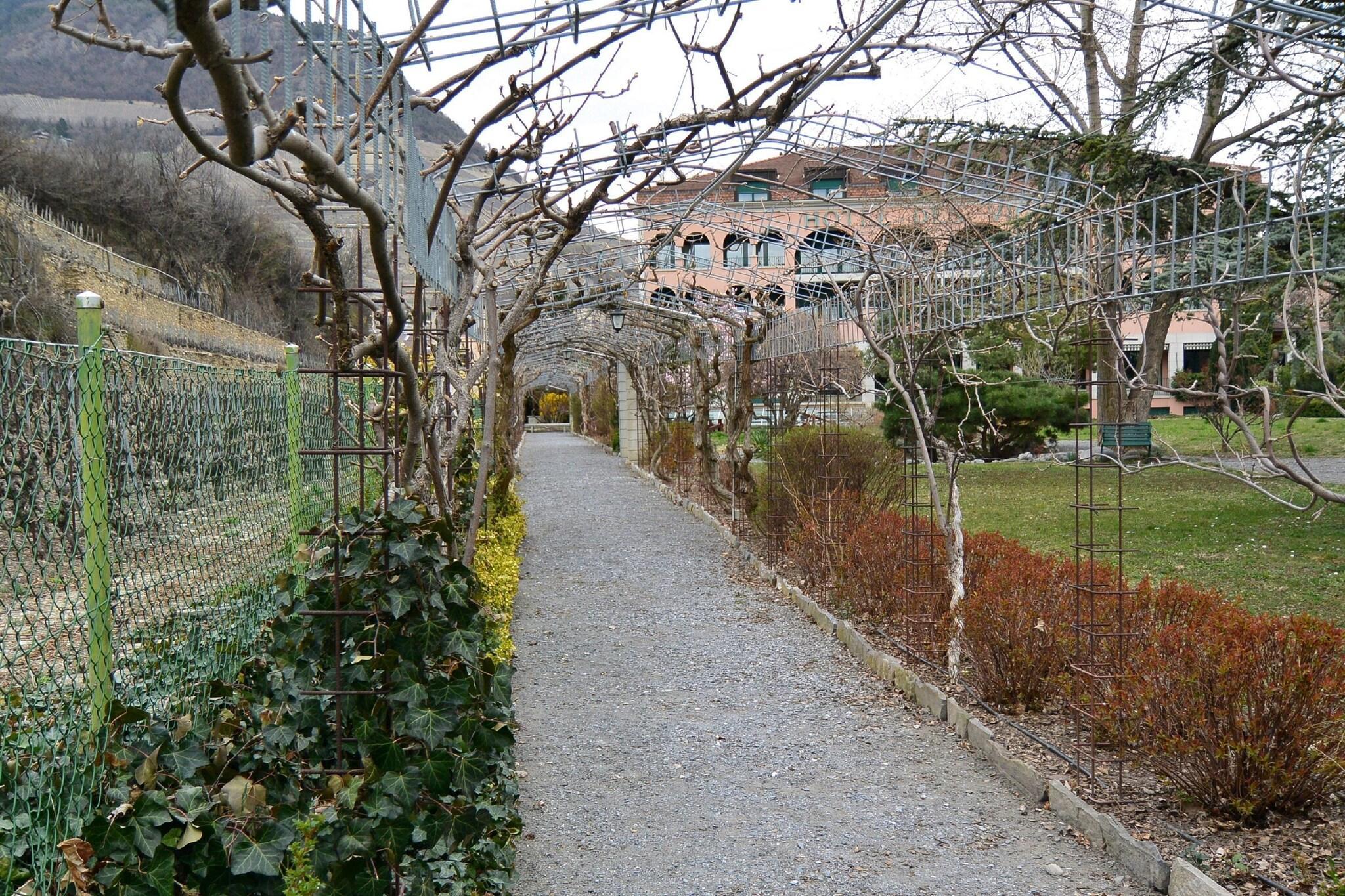 Varios Hôtel des Vignes