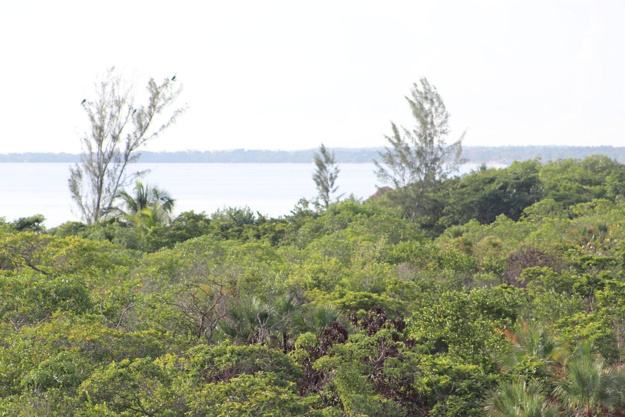 Playa Palmento Grove Eco Cultural & Fishing Lodge