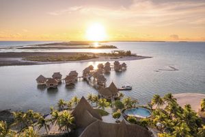 Alojamiento - Le Tikehau by Pearl Resorts