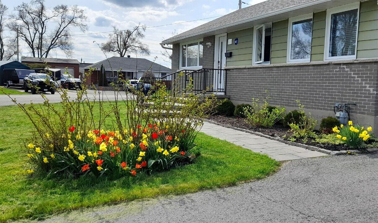 Vista Exterior Algonquin Daily & Monthly Rooms