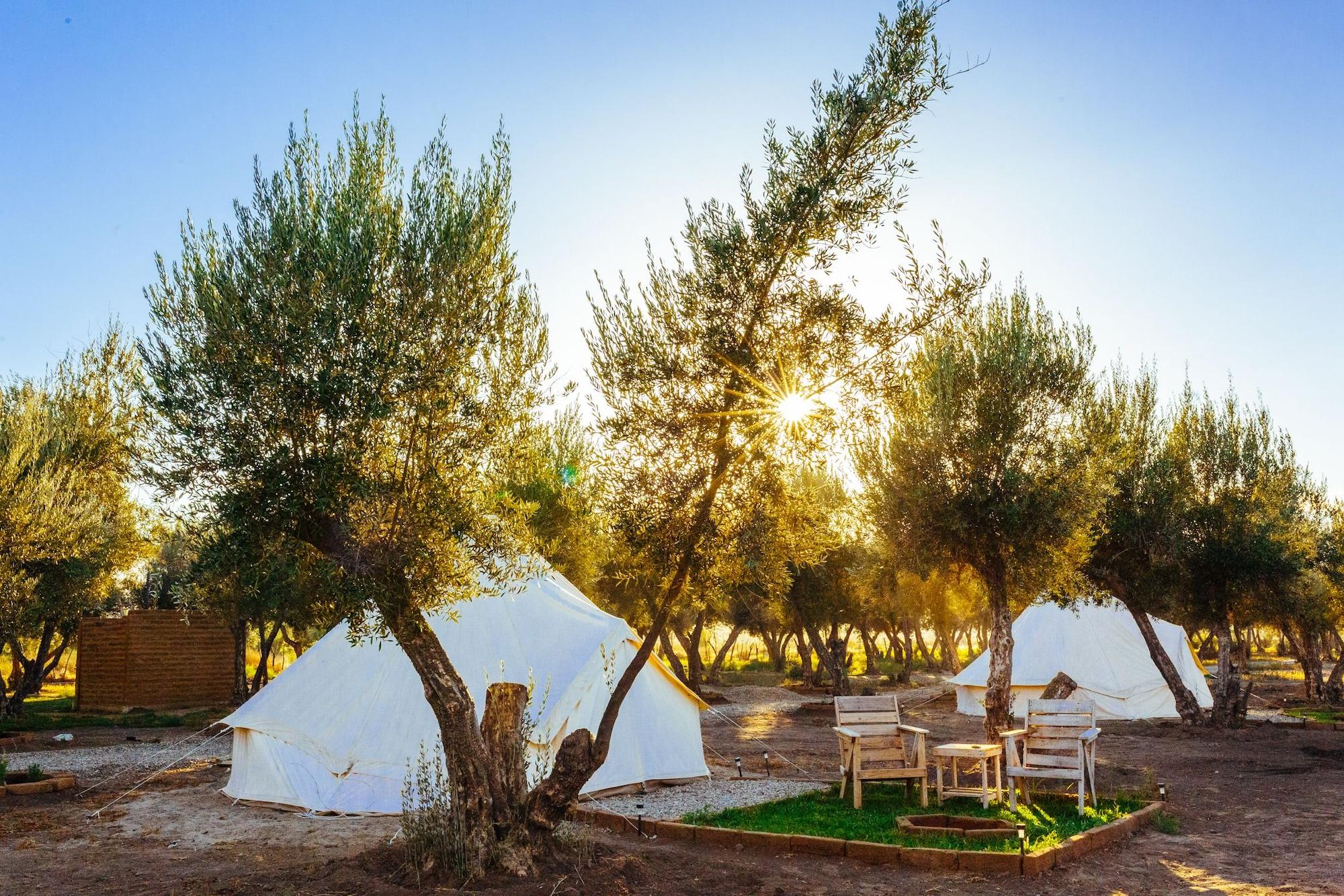 Comodidades del Alojamiento Guadalupe Valle Glamping