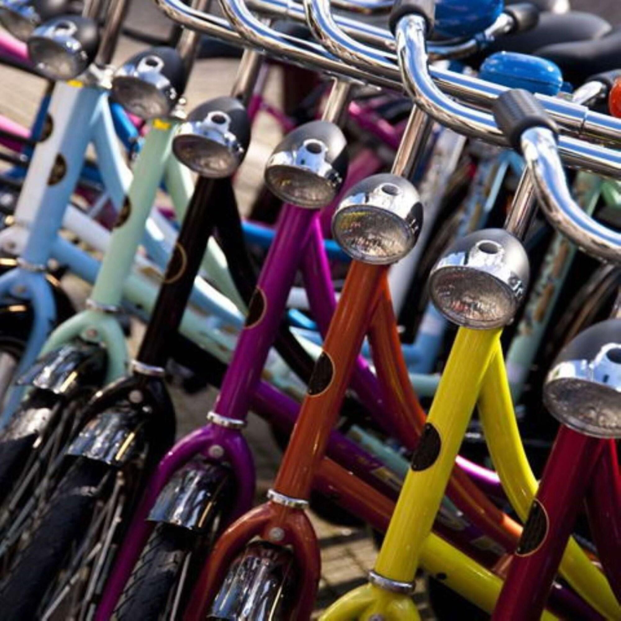 Instalaciones Recreativas Best Western Hotel Solaf