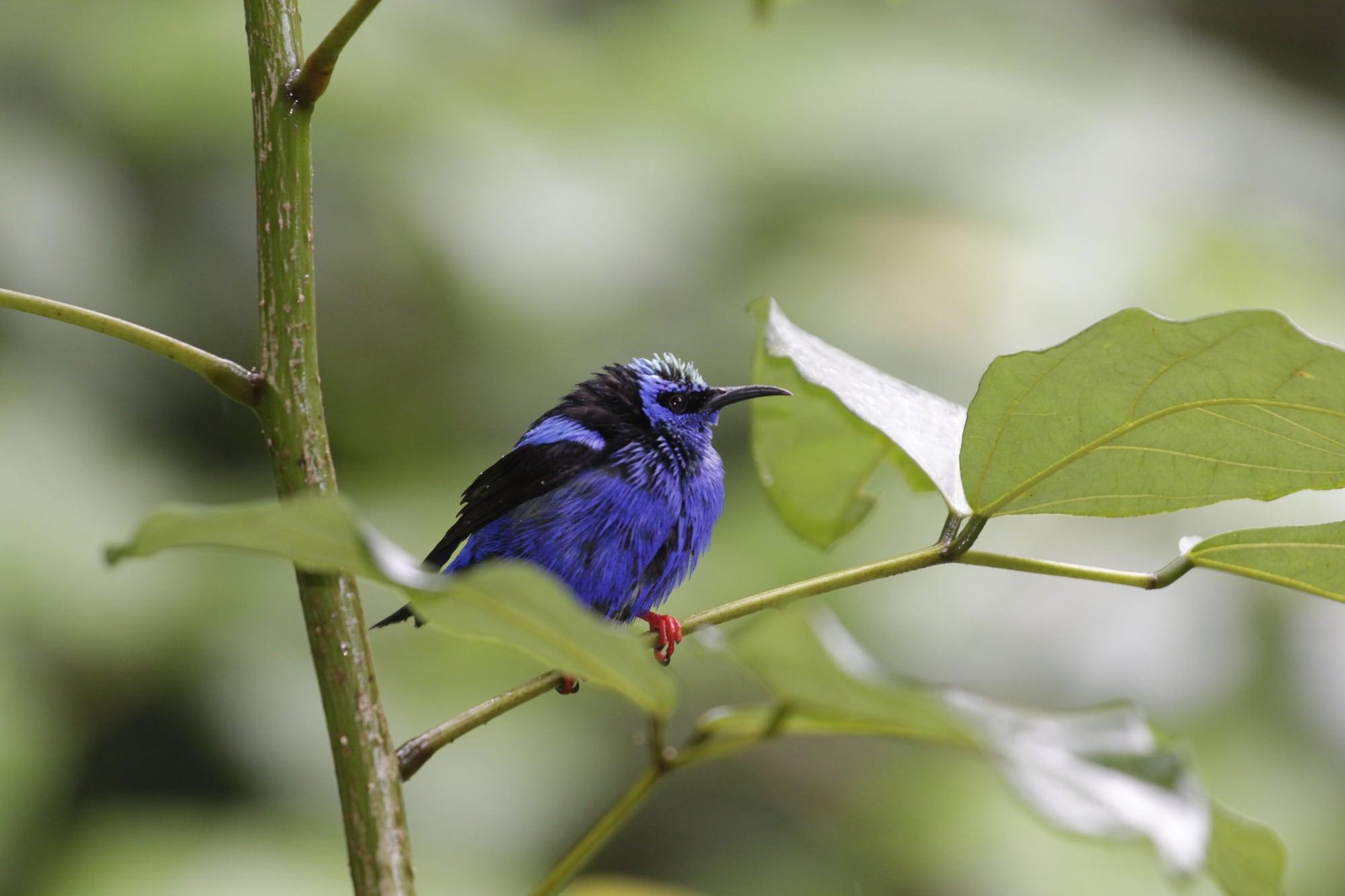 Instalaciones Recreativas Arenal Oasis