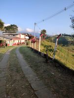 Alojamiento - FINCA LA FORTALEZA