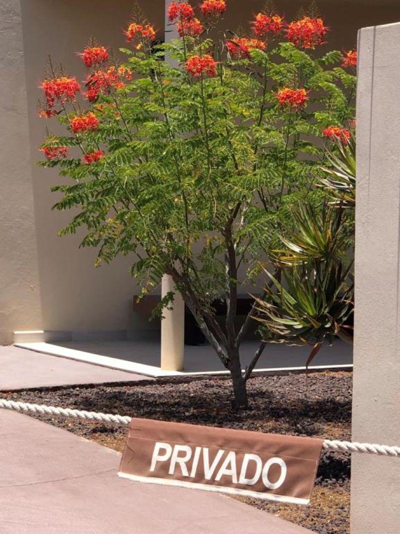 Vista Lobby FuerteVillage