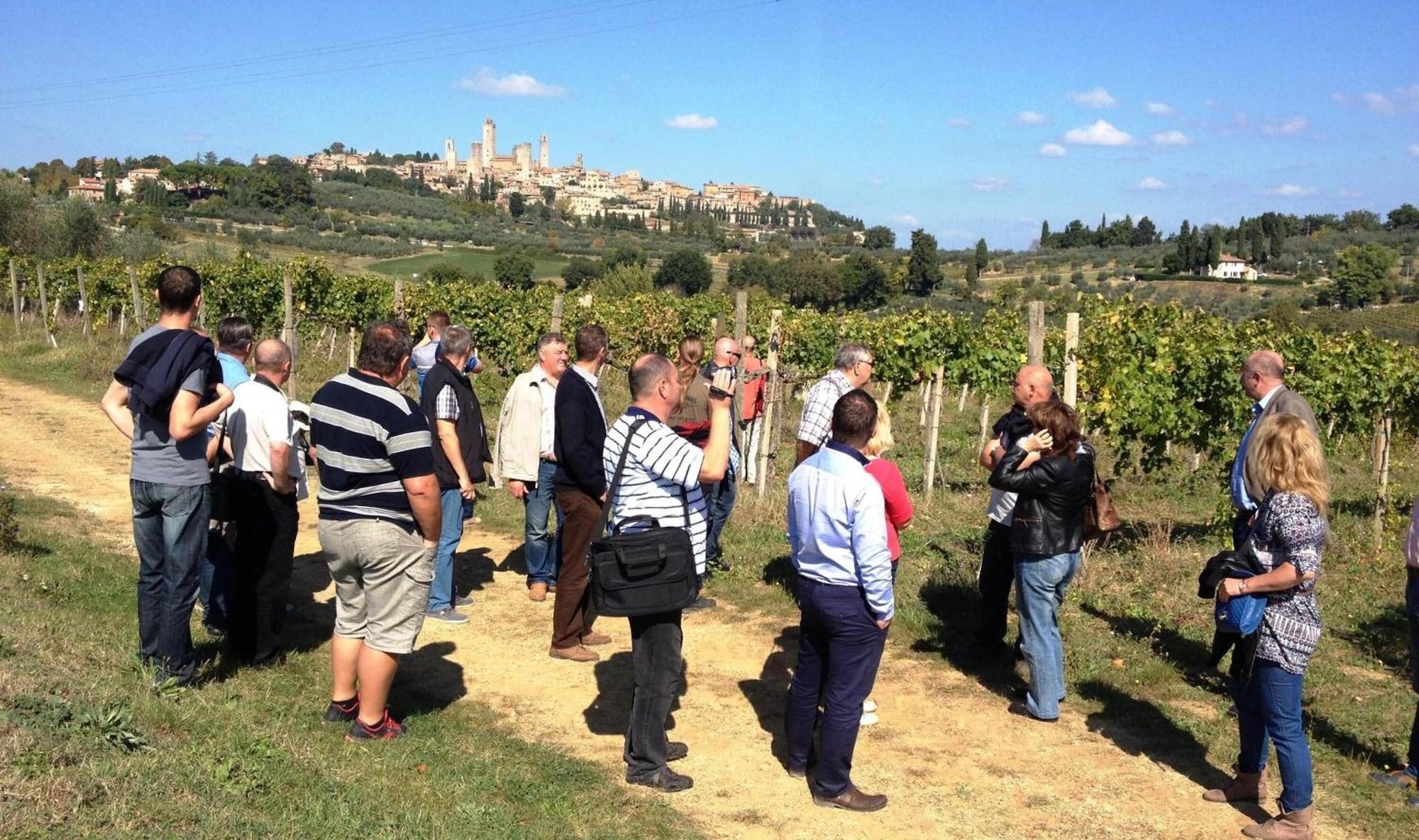 Gimnasio Fattoria Abbazia Monte Oliveto