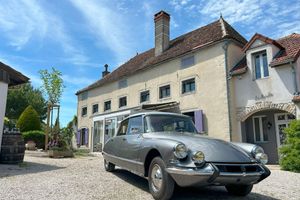 Alojamiento - La Marelle