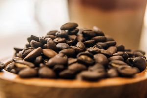 Actividad - Zona Cafetera de Tenejapa