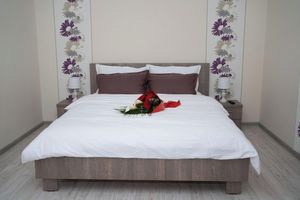 Alquiler Vacacional - Arad Plaza Viktoria Charming 1-bedroom apartment in lovely Arad