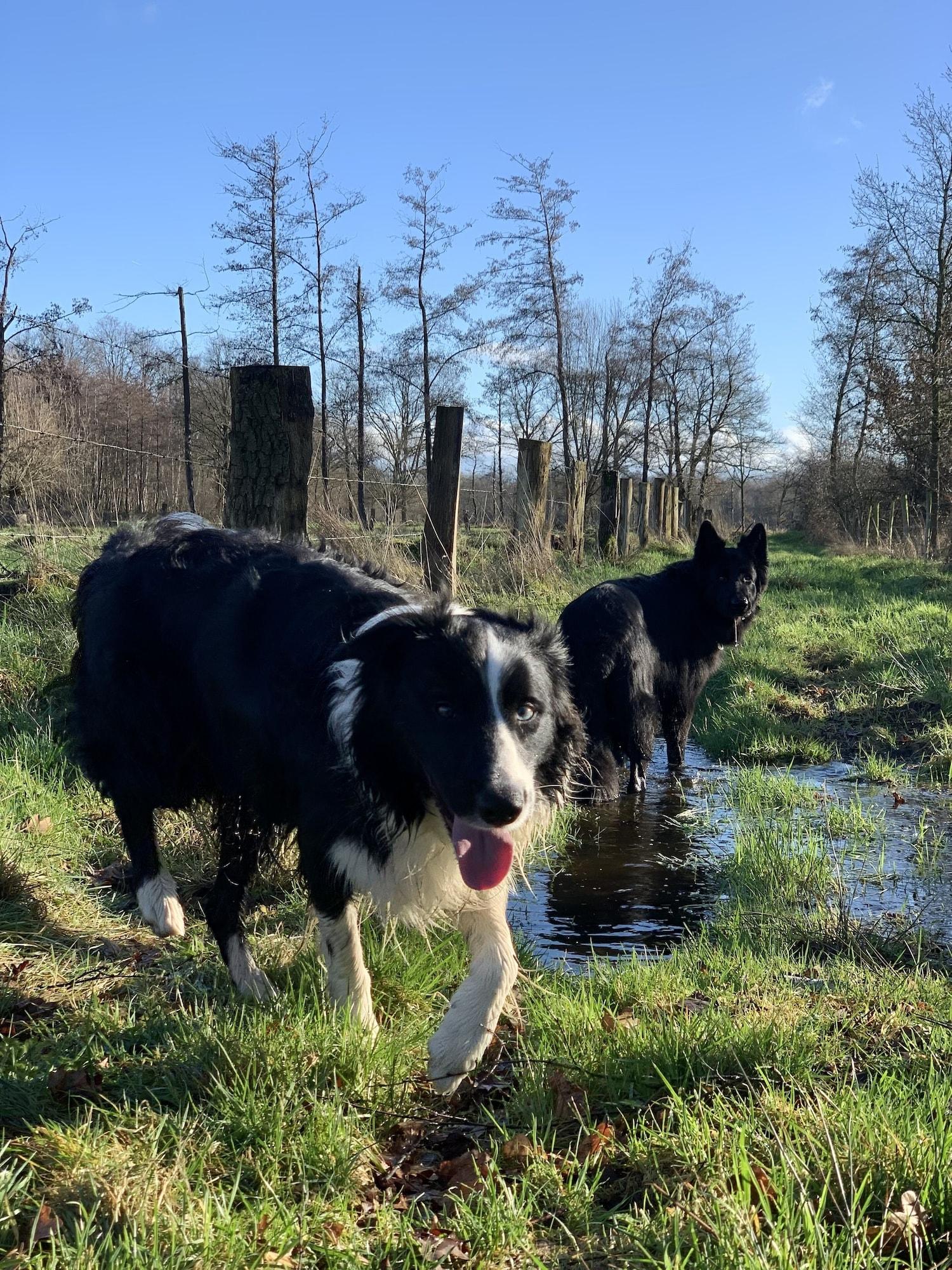 Vista Exterior Au Nom De Dieu