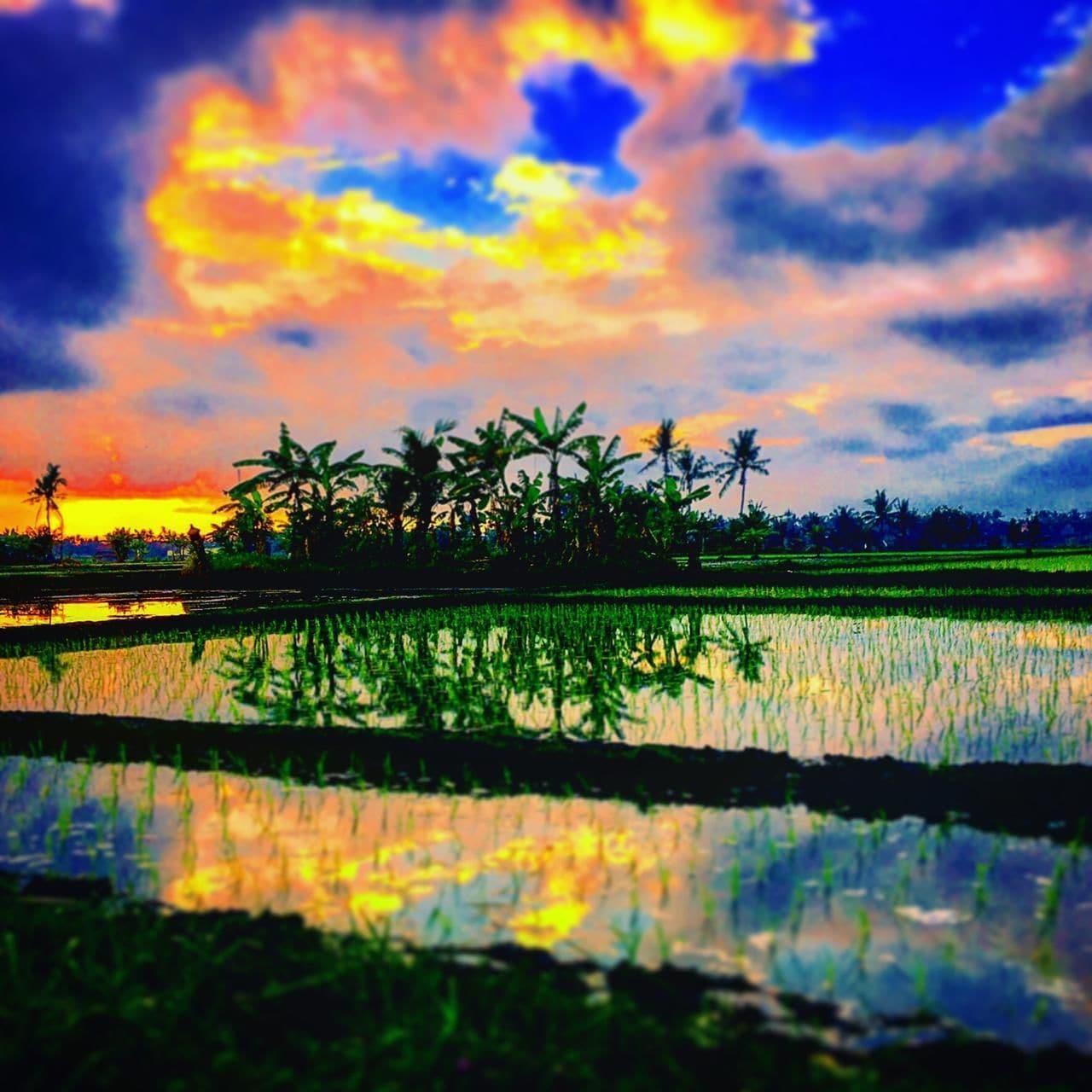 Vista Exterior Villa Lotus 8