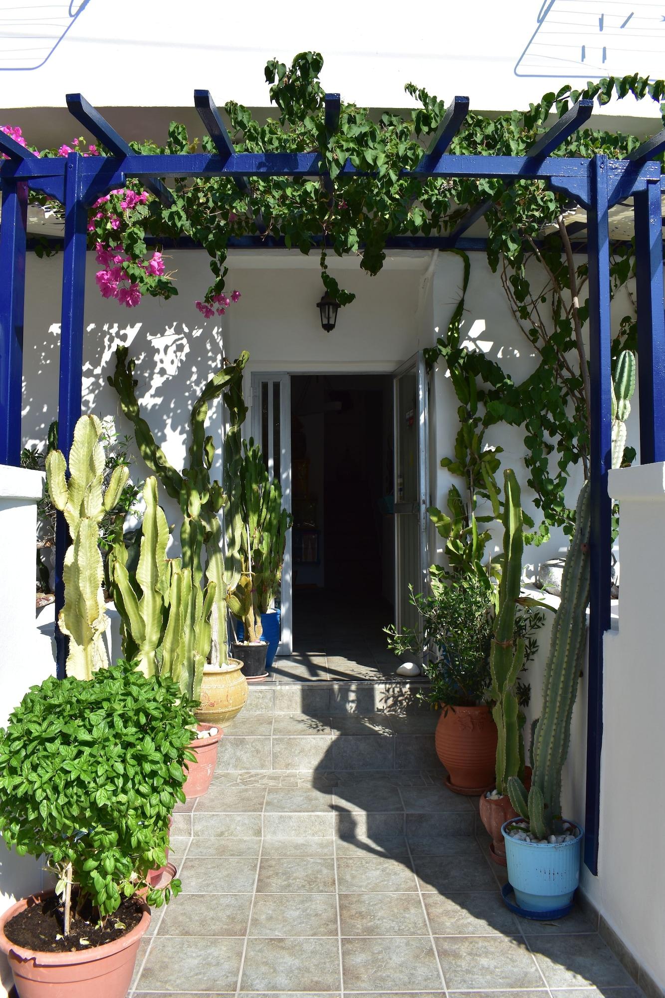 Vista Exterior Alisahni