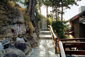 Alquiler Vacacional - Las Gaviotas