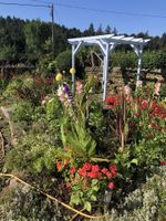 Alojamiento - Warlands-Farm Guest-House