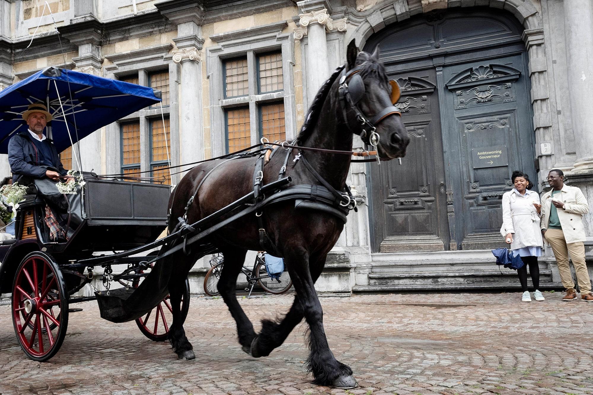 Instalaciones Recreativas Hotel Van Cleef