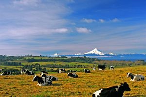 Vuelo - Vuelos a Puerto Varas