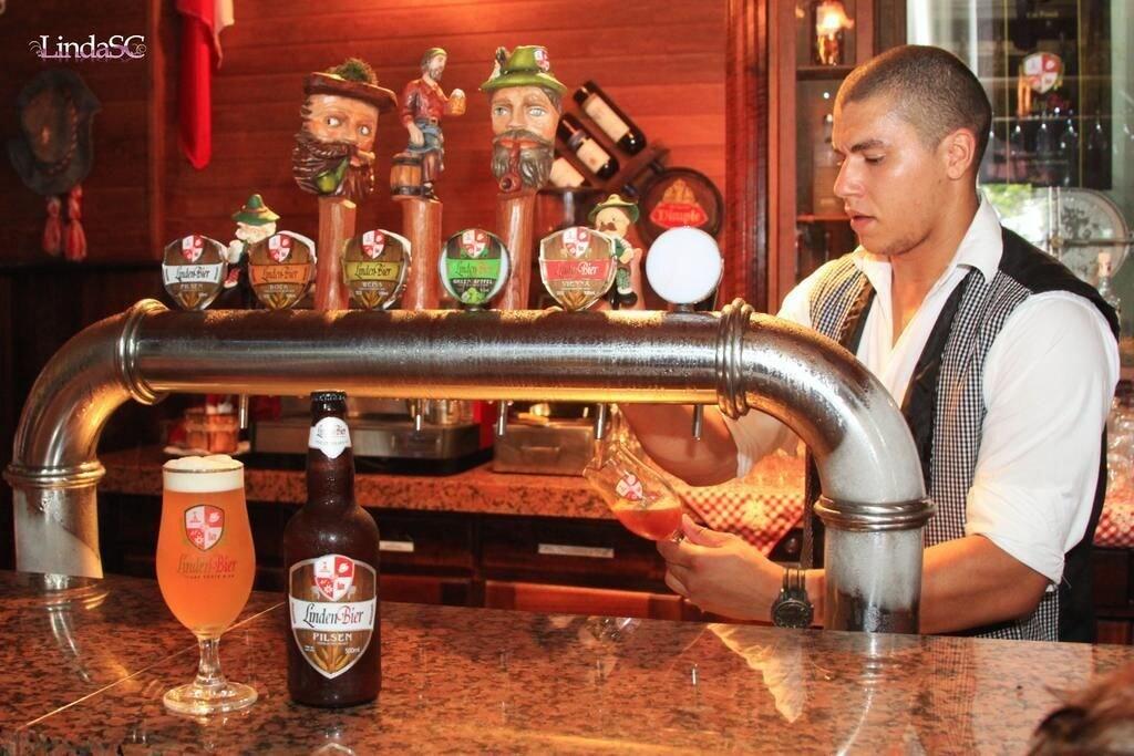 Bar/Salón Treze Tilias Park Hotel