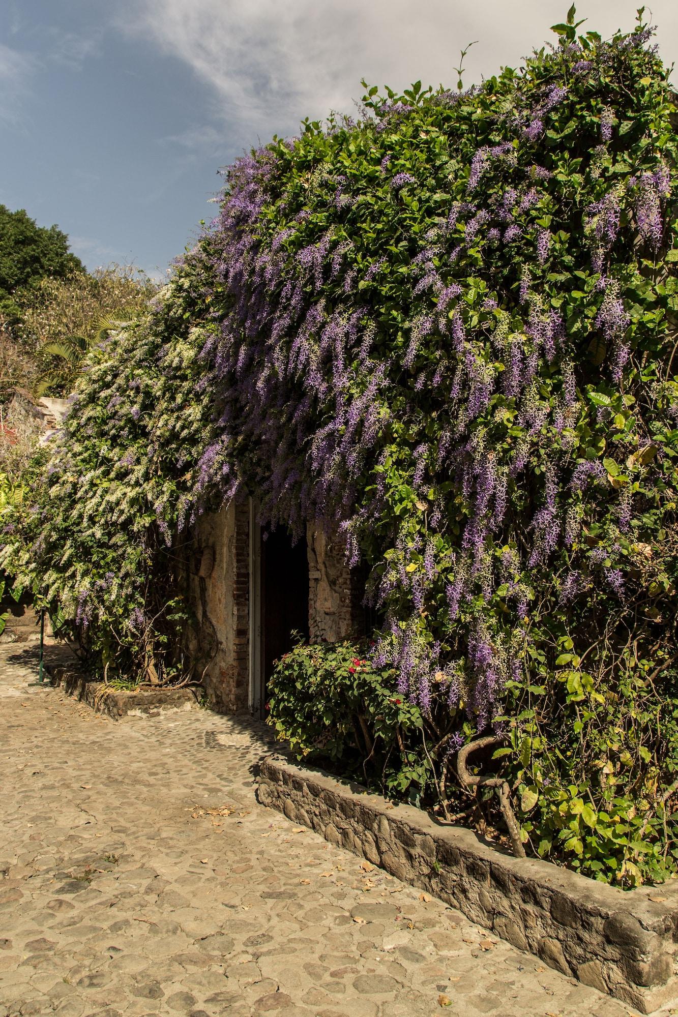 Vista Exterior Hacienda San Gabriel de las Palmas - Historical Hotel