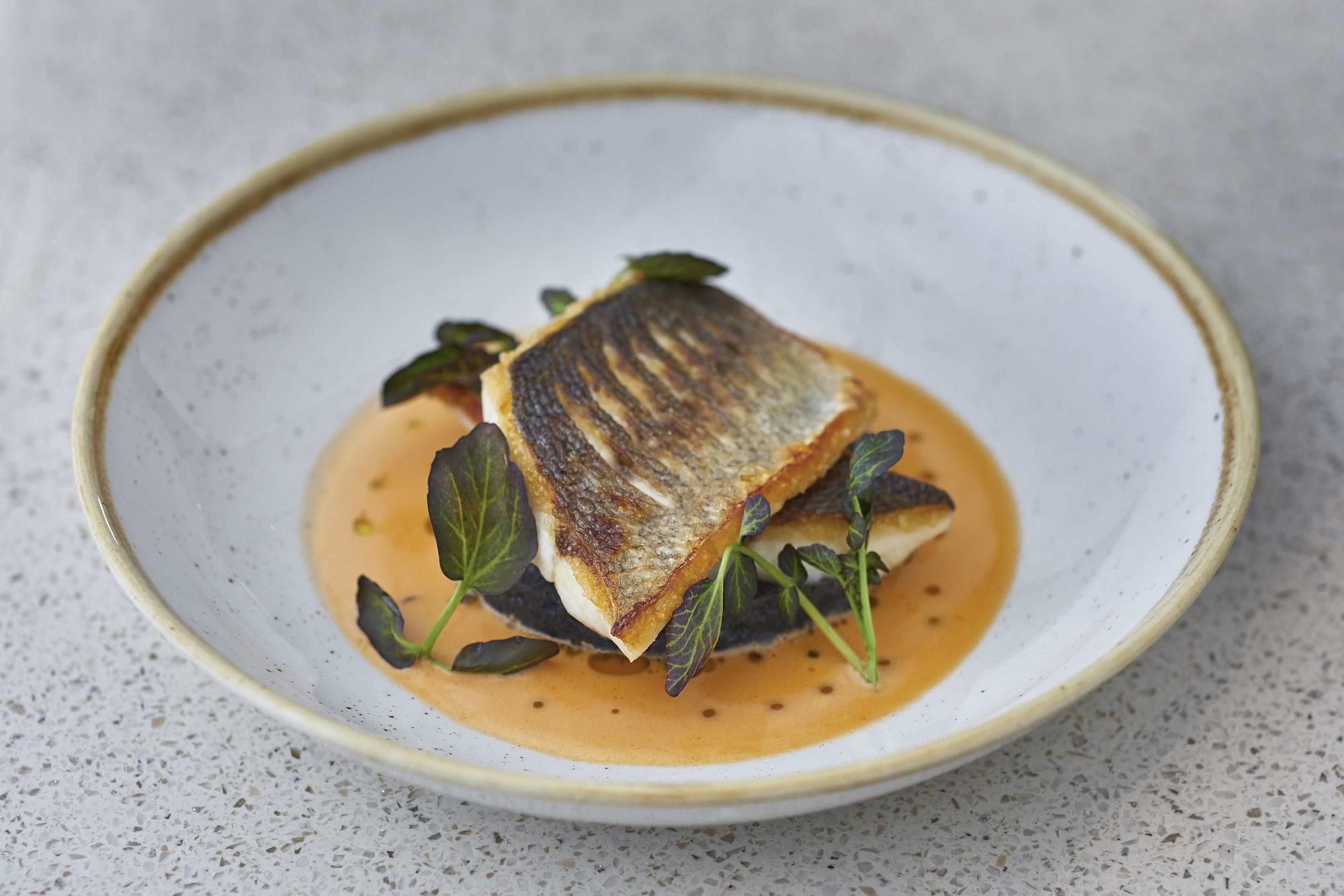 Restaurant Norfolk Towers Paddington Hotel