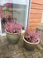 Alojamiento - Motel Skive