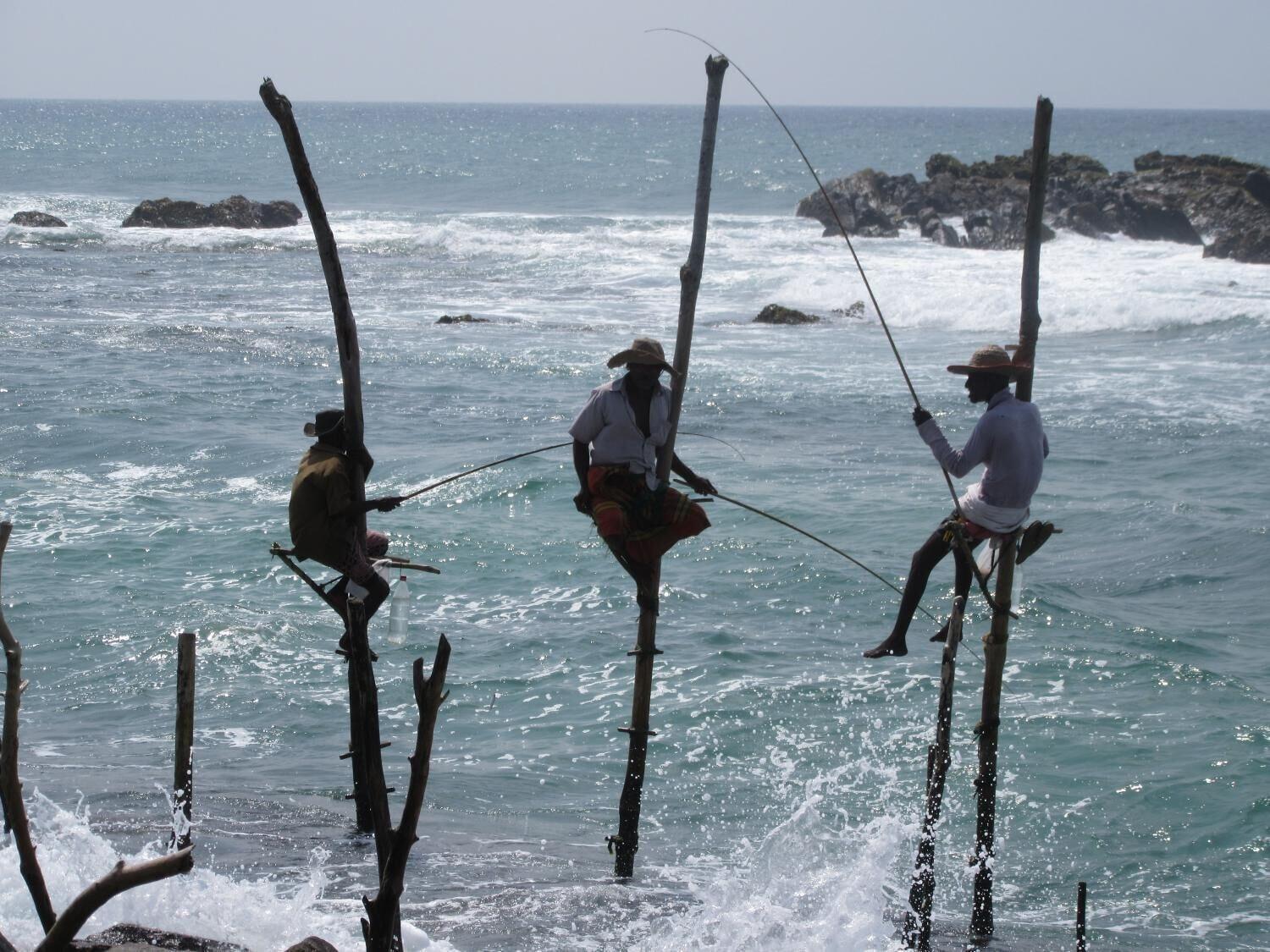 Gimnasio The Colonial Villa