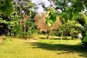 Alojamiento - CHOCLINO ECOLODGE BUNGALOWS