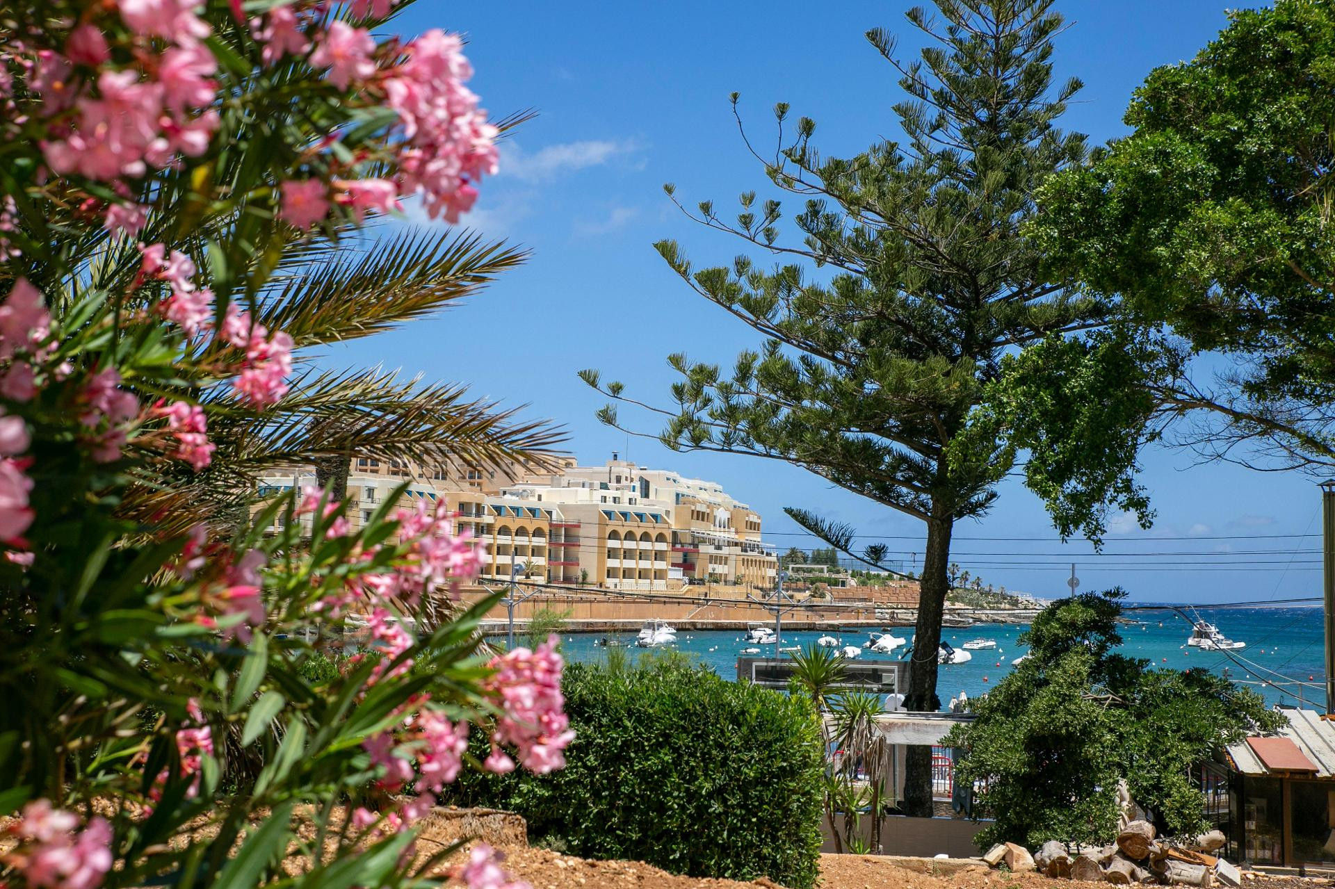 Vista Exterior Beach Garden Hotel