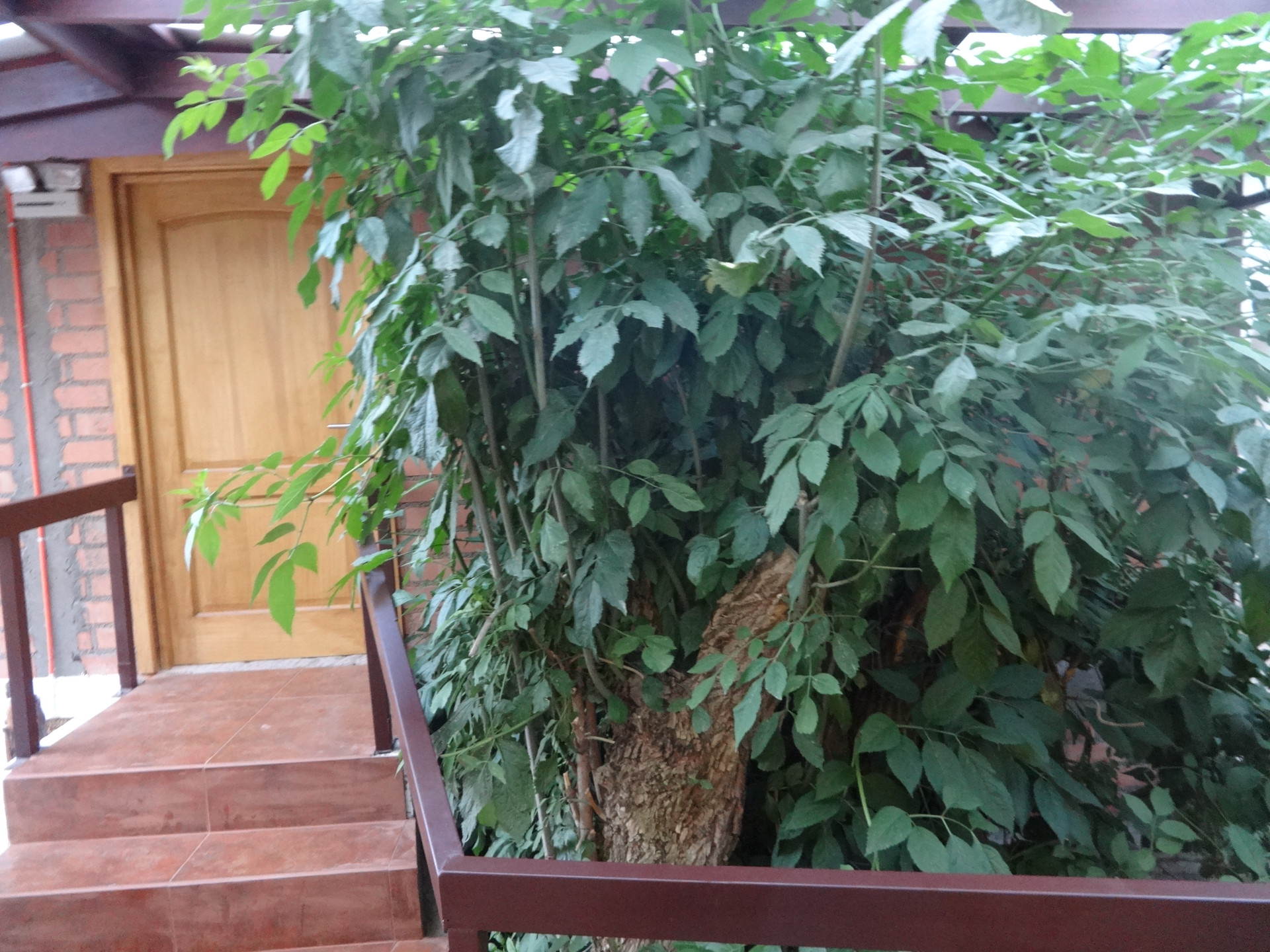 Varios Estación Náutica Estrecho de Magallanes