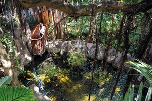 Actividad - Loro Parque