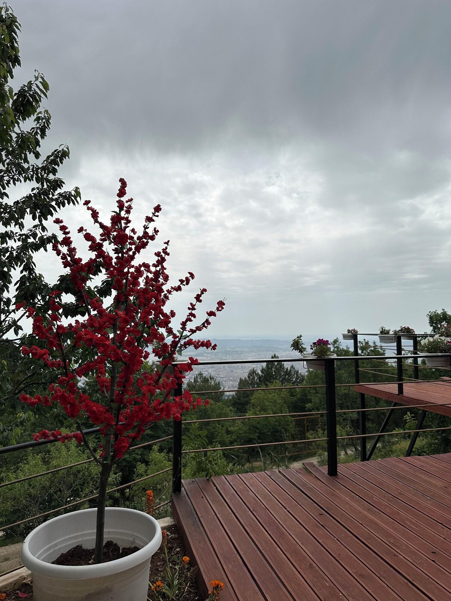 Equipamiento de Habitación Dajti Paradise