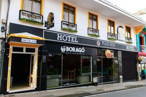 Alojamiento - HOTEL PLAZA REAL
