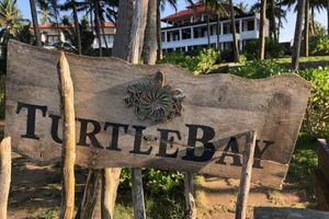 Alojamiento - Turtle Bay