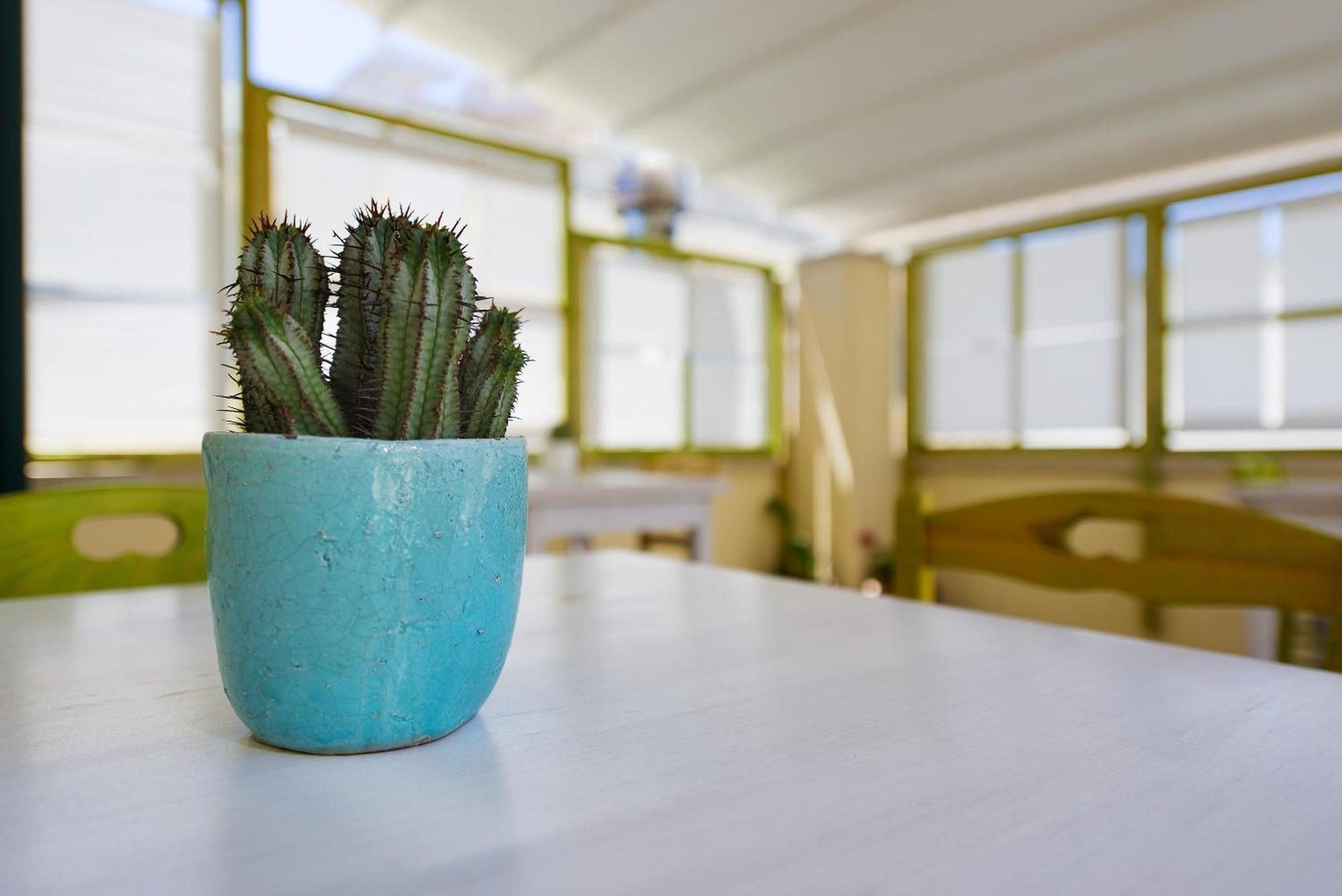 Varios B&B Notos