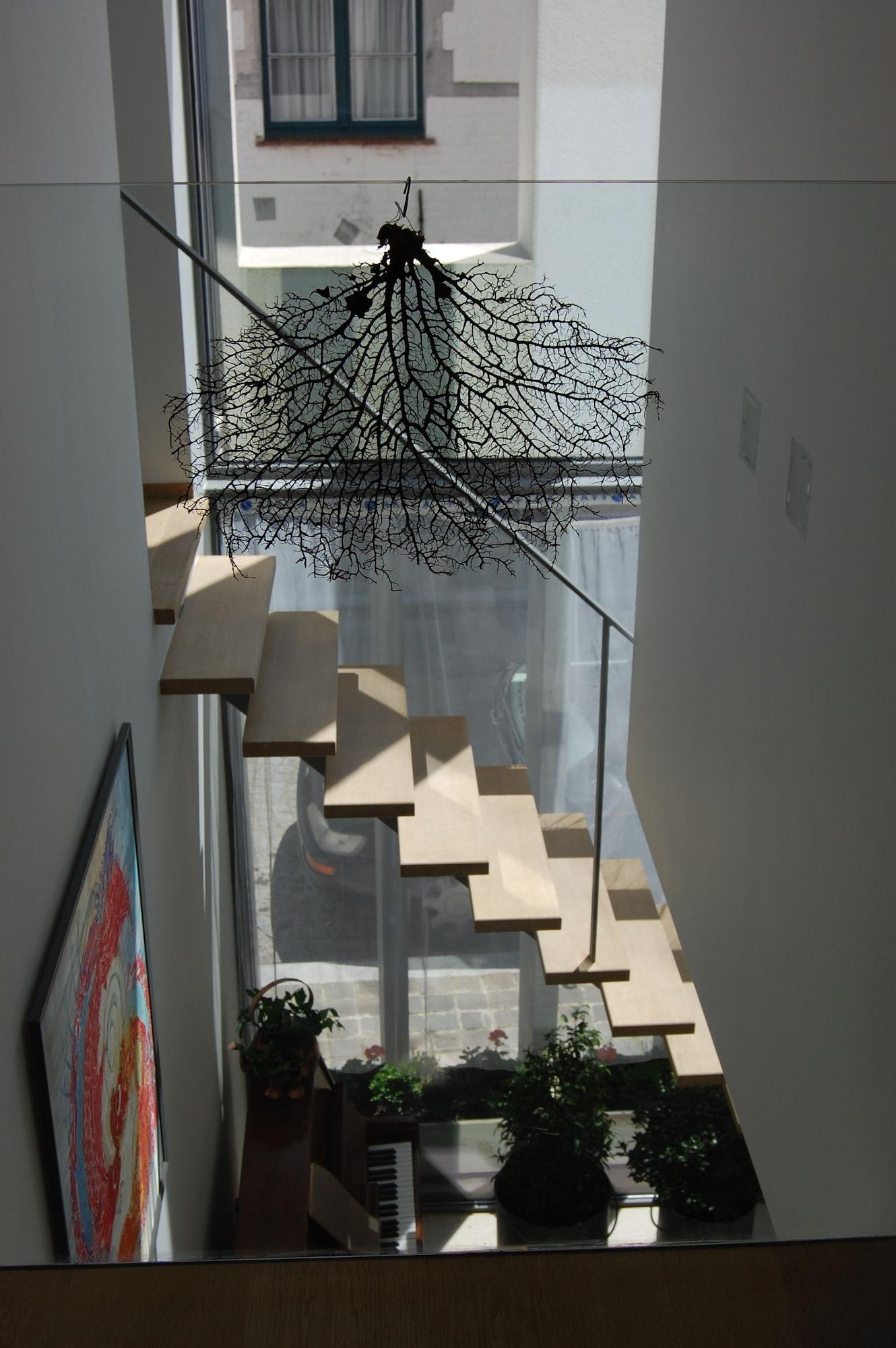 Vista Lobby 't Walleke