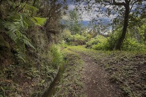 Alquiler Vacacional - Villa Dennis - in the sunny and warm south-west of the island of Madeira