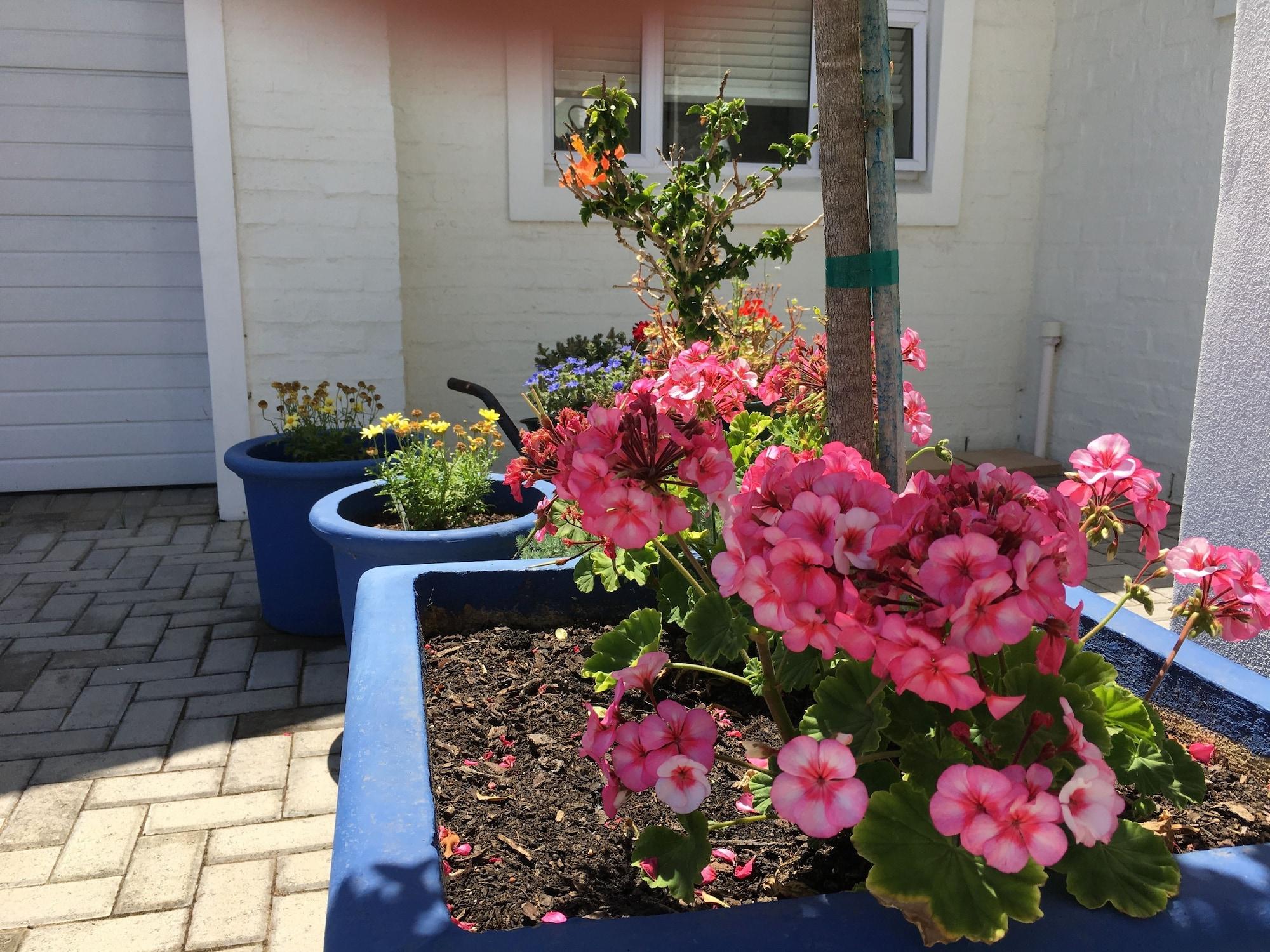 Vista Exterior The Gables Hermanus