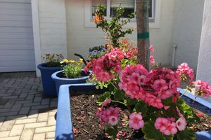 Alojamiento - The Gables Hermanus